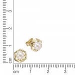 Ohrstecker aus 333 Gelbgold mit Süsswasser Zuchtperlen 0,8 cm
