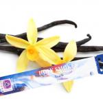 Vanille Rächerstäbchen - Blue Line - 10 Packungen