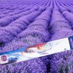 Lavendel Rächerstäbchen - Blue Line - 10 Packungen