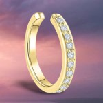 Ohrklemme 925 Silber Zirkonias trendiger Sommerschmuck